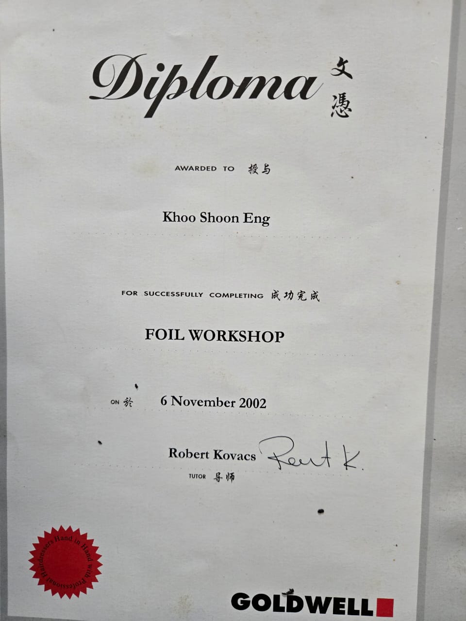 Professional Foil Workshop