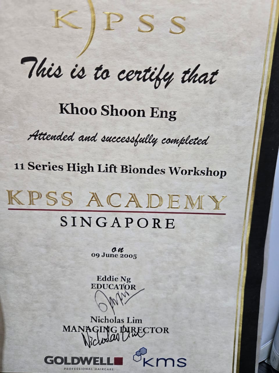 11 Series High Lift Blondes Workshop