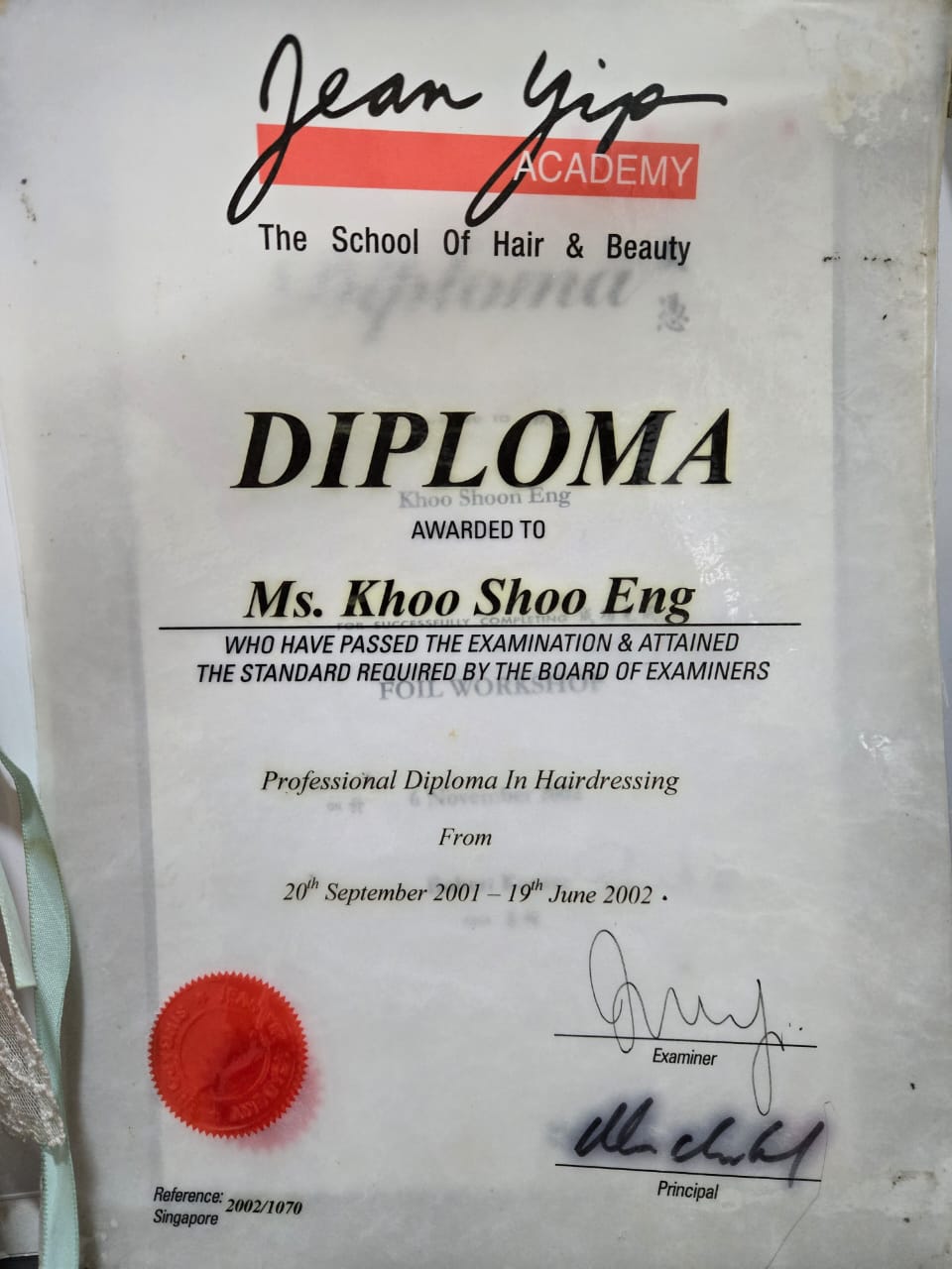 Professional Diploma in Hairdressing