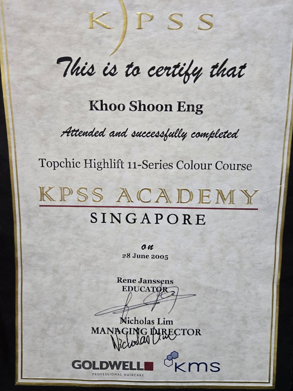 Topchic Highlift 11-Series Colour Course